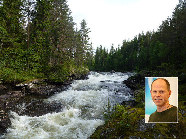 Seksjonssjef Lars Søfteland (innfelt) skulle helst sett at de rødlistede lavartene ble funnet ved de tidligere miljøundersøkelsene.  FOTO: BJARTE GUDDAL/RUHNE NILSSEN.
