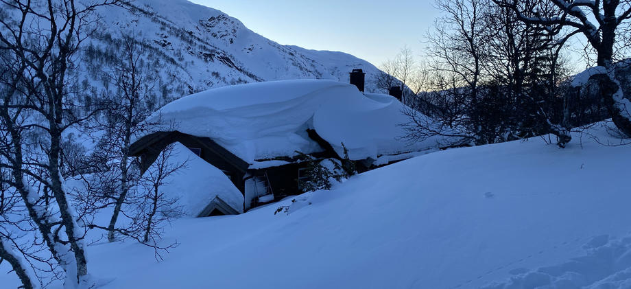 Snø hytte
